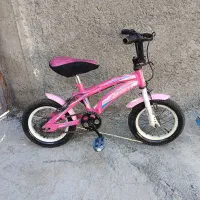 دوچرخه دوازده صورتی