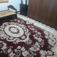 فرش دست دوم|فرش|کرمانشاه, |دیوار