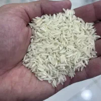 برنج طارم فجر|عمده‌فروشی|آستانه اشرفیه, |دیوار