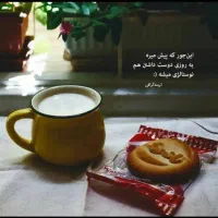 ویزیتور حضوری