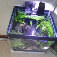 اکواریوم|ماهیگیری|مشهد, سید رضی|دیوار