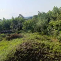 زمین مسکونی ۳۹۳ متر