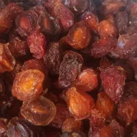 الو ترش مناسب خورشت