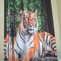 پرده پانچ تصویری منظره ای بموقع دریافت کن