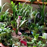 خانه-دوواحدی-مجزابالاپایین-واحدبالا