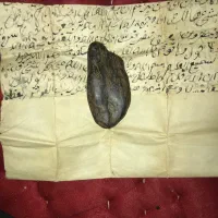 مهره هبهاب موکلدار