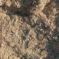 فروش سامان نخود