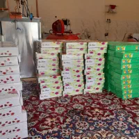 دستمال جعبه ای و اقتصادی|مواد شوینده و دستمال کاغذی|فلاورجان, |دیوار