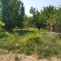 خانه-ی-ویلایی-در-روستا