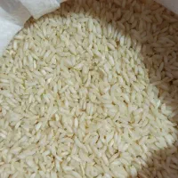 برنج عنبر بو