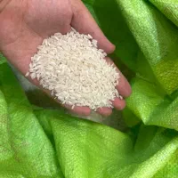 برنج پاکستانی ار سیکس