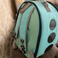 باکس گربه|لوازم جانبی حیوانات|رشت, گلسار|دیوار