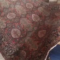 فرش دست بافت|فرش|رشت, استقامت ۲|دیوار