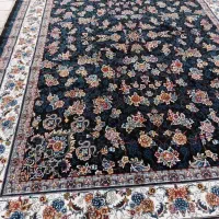 فرش فروشی|فرش|رفسنجان, |دیوار