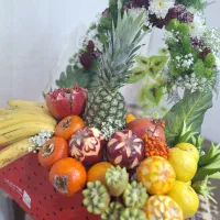 آموزش میوه آرایی وحکاکی ازمبتدی تاپیشرفته|خدمات آموزشی|قزوین, |دیوار