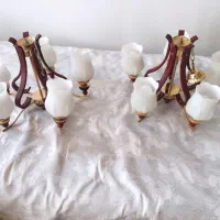 لوستر سالنی