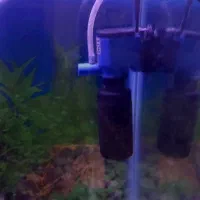 فیلتر هنگان نو به کمترین قیمت بازار|ماهی|همدان, |دیوار