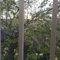 اجاره سوییت،دوهزار متر باغ و ویلا150متری|اجارهٔ کوتاه‌مدت آپارتمان و سوئیت|سنگر, |دیوار