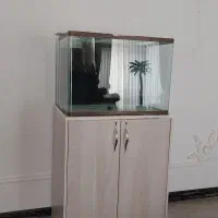 آکواریوم شیشه خم با کمد زیرش و وسایل داخل آب