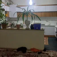 خانه باغ یا ویلا