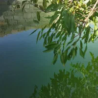 باغ