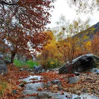 تور ۲ روزه کاشمر و ترانسفر رفت و برگشت|تور و چارتر|شاندیز, |دیوار