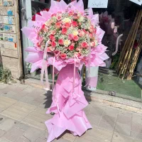 گل رز هلندی شاخه ای ۶۰
