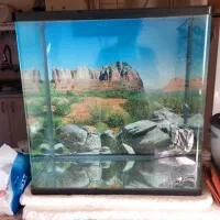 آکواریوم و پمپ هوا  وبخاری