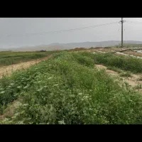 زمین کشاورزی اجاره ای