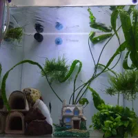 اکواریو بک سامپ کامل