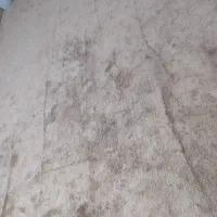 چند عدد قالی و تخته و پرده