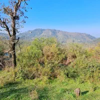 زمین باغی آینده دار /رو ارتفاع