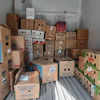 نیسان یخچالدار مدل 1403|خودرو سواری و وانت|اسلامشهر, شهرک سعیدیه|دیوار