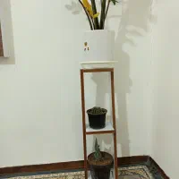 استند گل|گل و گیاه طبیعی|بیرجند, |دیوار