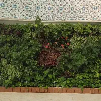 دیوار سبز ، green wall