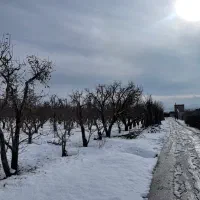 ۳۷۰متر‌زمین‌جابان+کنتور+چک۶ماه+سندتک+شهرک