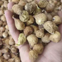 انجیر دیم گوشتی خوش طعم فقط مصرف کننده|خوردنی و آشامیدنی|شیراز, کوشک میدان|دیوار