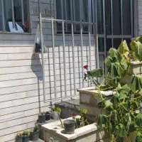 فروش واحد مستقل متراژ ۹۵ دو خواب با حیاط۱۲۰|فروش آپارتمان|تالش, هشتپر|دیوار