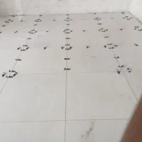 کاشی کاری سنگ کاری موزاییک پله قرنیز|خدمات پیشه و مهارت|قروه, |دیوار