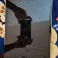 آیپد ایر 2024 m2 128gb|تبلت|بجنورد, |دیوار