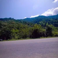 پنجاه-هزار-متر-باغی-مسکونی
