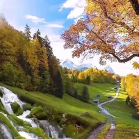 همسفر با تور