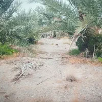 3-هکتار-زمین-مزروعی