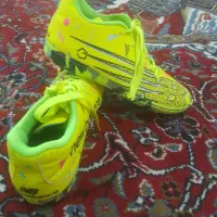 کفش سالنی اصل|کیف، کفش، کمربند|دورود, |دیوار