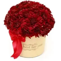 روز مادر توزیع گل نرگس و رز مناسب|گل و گیاه طبیعی|بیرجند, |دیوار