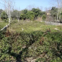 فروش-285-متر-زمین-خوشقواره-در-چالوس