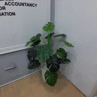 گل مصنوعی زیبا