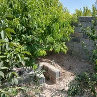 فروش باغچه با شرایط پرداخت ویژه