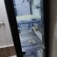 قفس پرنده چهار طبقه|لوازم جانبی حیوانات|مرودشت, کوشک|دیوار