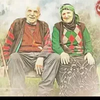 پرستاری سالمند بدون انجام هیچ خدماتی